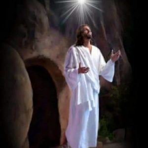 Meet your Posher, Oscar